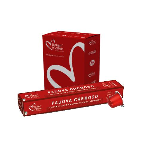 Master Box - Padova Cremoso 100 capsules en aluminium